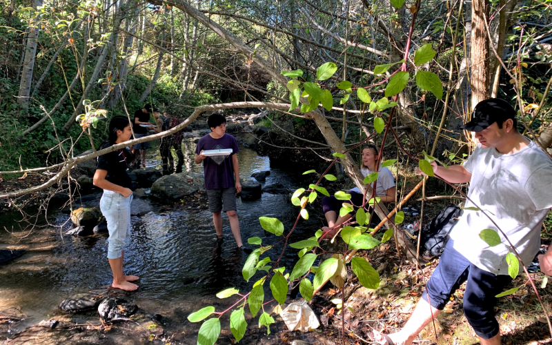 Students standing in stream